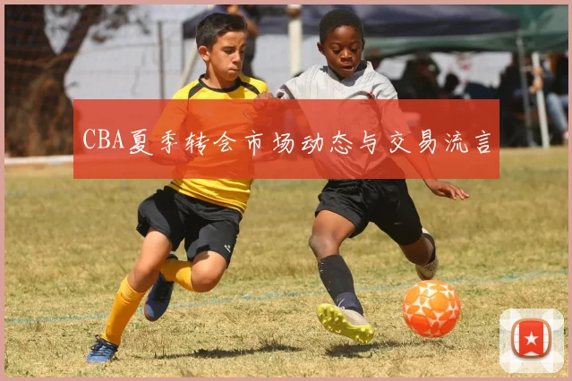 CBA夏季转会市场动态与交易流言